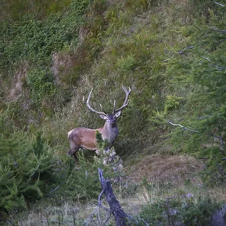 Eydappartamenti Apartamento Oulx